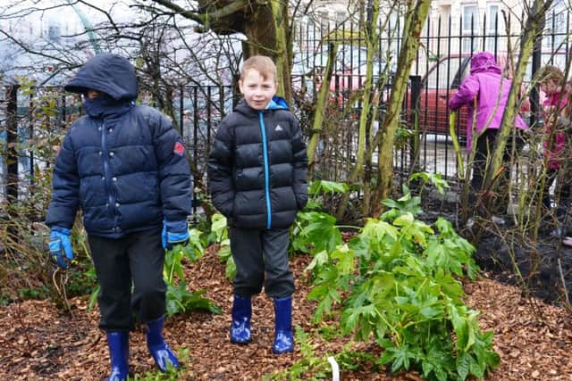 NATURE PROJECT Planting fruit hedges at Fernhurst Junior School