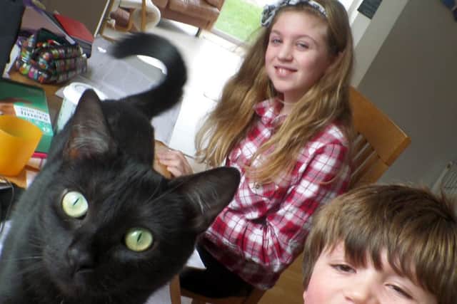Erica the black cat with her new owners Grace Alexander, 10, and her brother Joe, eight