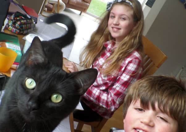 Erica the black cat with her new owners Grace Alexander, 10, and her brother Joe, eight