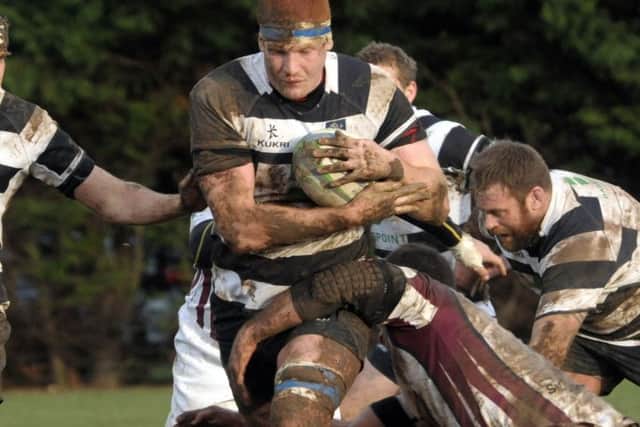 Ross Parkin Picture: Mick Young
