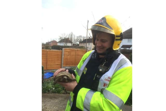 Zebedee the Tortoise with watch manager Dave Higgins after being rescued from a blaze in Gudge Heath Lane, Fareham Picture: Hampshire Fire and Rescue Service