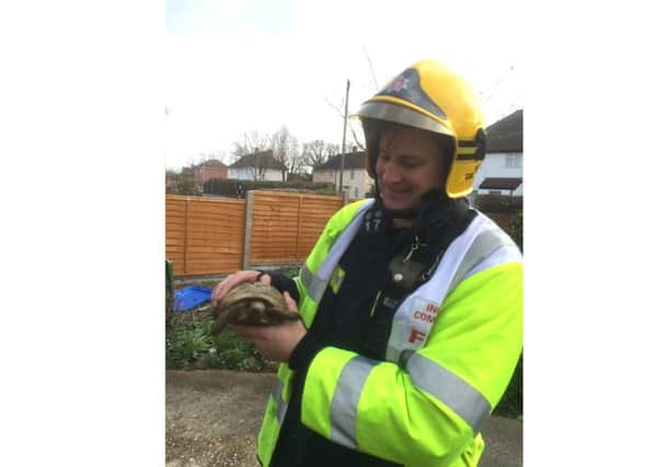 Zebedee the Tortoise with watch manager Dave Higgins after being rescued from a blaze in Gudge Heath Lane, Fareham

 Picture: Hampshire Fire and Rescue Service