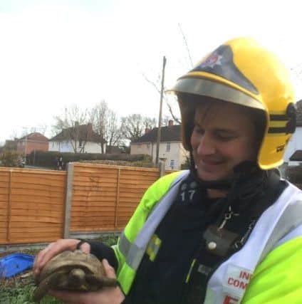 Zebedee the Tortoise with watch manager Dave Higgins after being rescued from the fire in Gudge Heath Lane, Fareham
Picture: Hampshire Fire and Rescue Service
