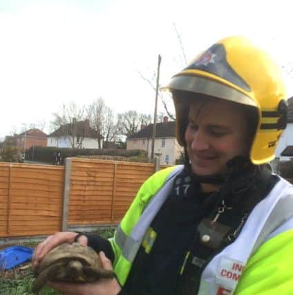 Zebedee the Tortoise with watch manager Dave Higgins after being rescued from the fire in Gudge Heath Lane, Fareham


Picture: Hampshire Fire and Rescue Service