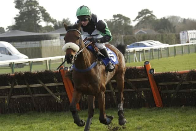 Unowhatimeanharry was a distant fifth in the 2014 National Spirit Hurdle at Fontwell during an unspectacular start to his racing career. Picture: Clive Bennett/polopictures.co.uk