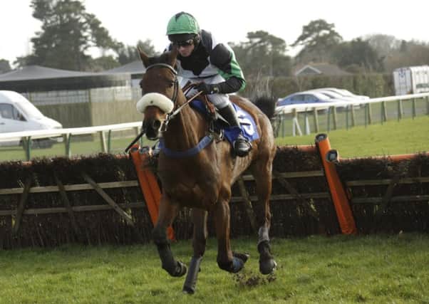 Unowhatimeanharry was a distant fifth in the 2014 National Spirit Hurdle at Fontwell during an unspectacular start to his racing career. Picture: Clive Bennett/polopictures.co.uk