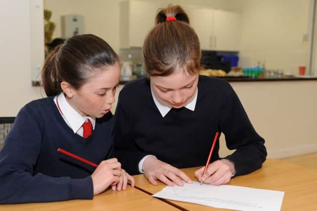 Esther Tuttle, left, and Amelie Jewitt from St Alban's Primary School, Picture: Sarah Standing (160517-7510)