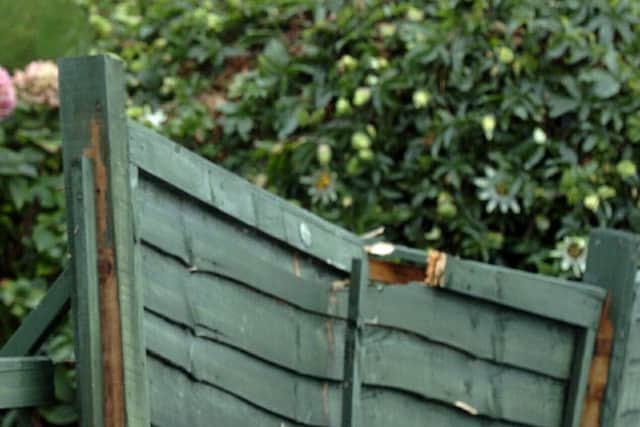 Zella's garden fence took a battering from Storm Katie