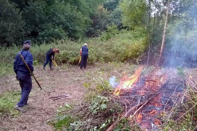 RESTORATION Volunteers are helping to clear the old Coldeast Hospital site