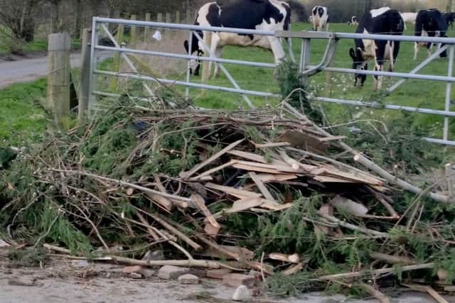 The pile of rubbish, which was moved from the middle of Pook Lane in Fareham