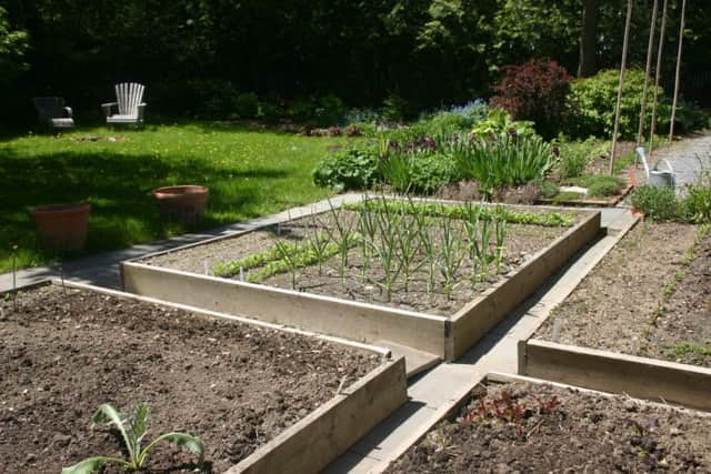 Raised beds work miracles on difficult ground