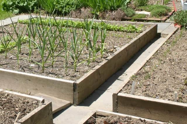 Raised beds