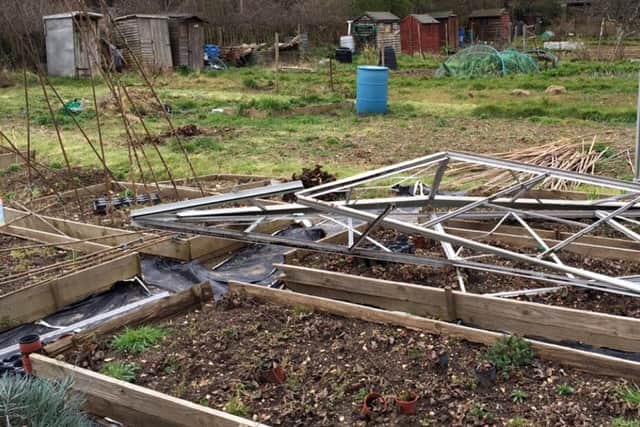 The allotment was hit by the storm and vandals