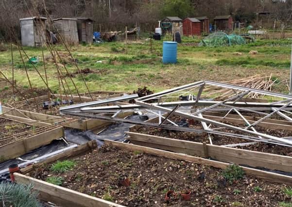 The allotment was hit by the storm and vandals