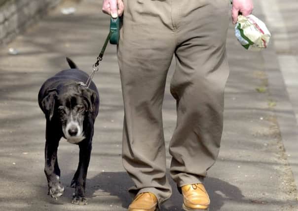 Dog walkers can help with a new community scheme