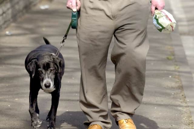 Dog walkers can help with a new community scheme