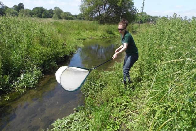 CONSERVATION Suzanne Jenkins, HIWWT trainee