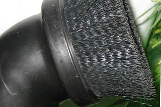 Spruce up your cacti with a quick vacuum
