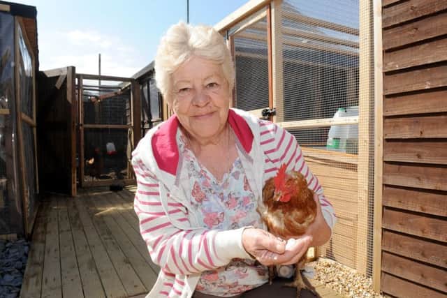 Shirley Arbon, chairwoman of the Community Animal Education Centre, with a chickenPicture: Sarah Standing (160567-304)