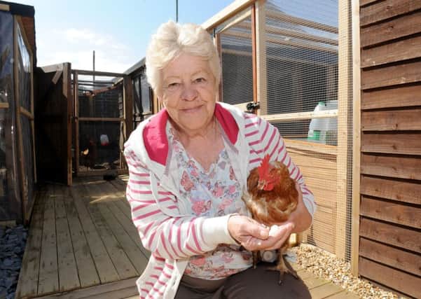 Shirley Arbon, chairwoman of the Community Animal Education Centre, with a chicken

Picture: Sarah Standing (160567-304)