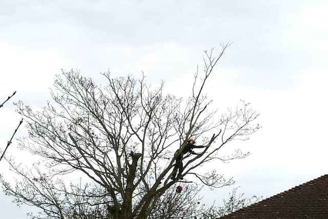 DAMAGE Tina Helme reported damage she saw in Gosport