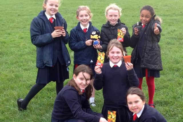 Saint Alban's pupils sowing seeds to attract bees