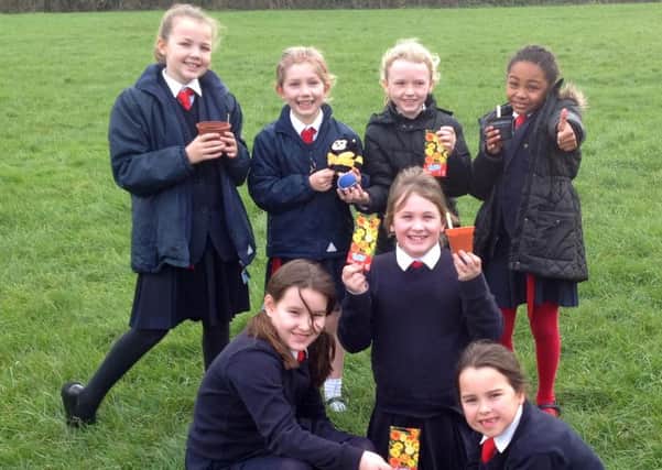 Saint Alban's pupils sowing seeds to attract bees