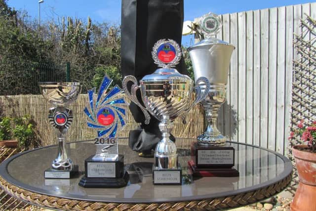 The awards won by Herryt at the dog show in Holland