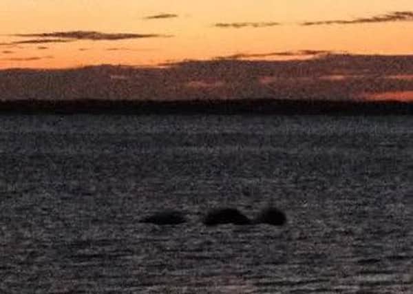 The mysterious object in the Solent, taken from Southsea seafront Picture: Debbie Lear