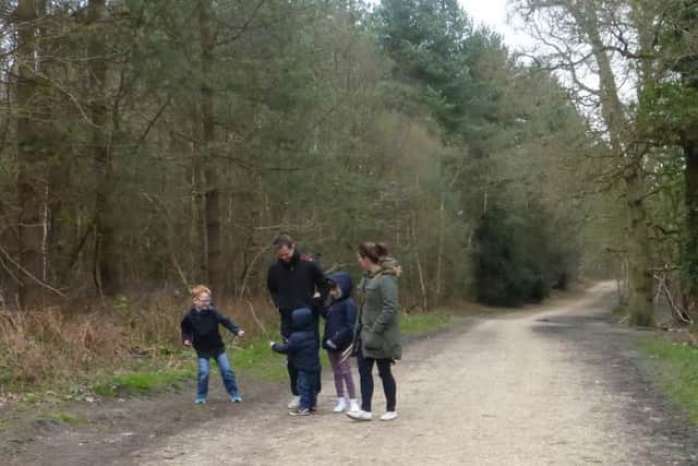 May is Walk in the Woods Month