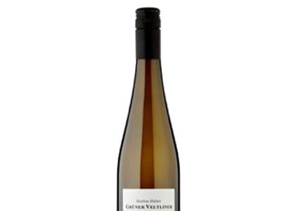 Markus Huber Gruner Veltliner