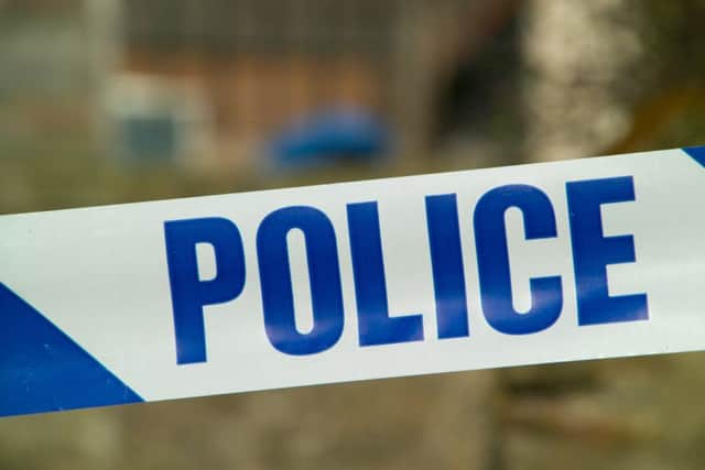 A horse in Warsash has had its tail cut off