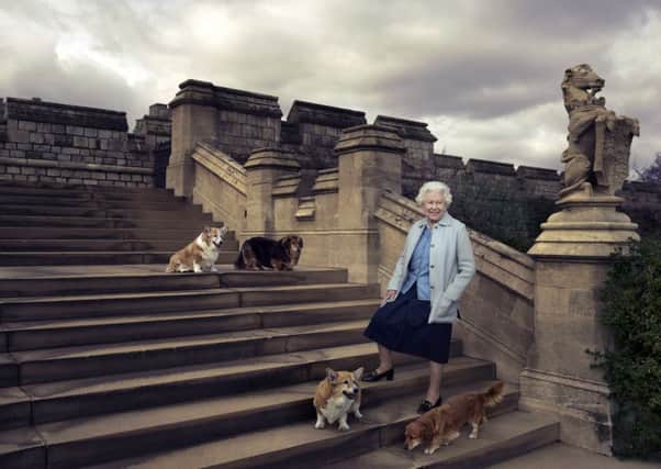 In this official photograph released by Buckingham Palace to mark her 90th birthday, Queen Elizabeth II is seen walking in the private grounds of Windsor Castle on steps at the rear of the East Terrace and East Garden with four of her dogs: clockwise from top left Willow (corgi), Vulcan (dorgie), Candy (dorgie) and Holly (corgi). 
Â© 2016 Annie Leibovitz  / PA Wire