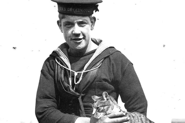 Scatters, the ships cat in battleship HMS Dreadnought