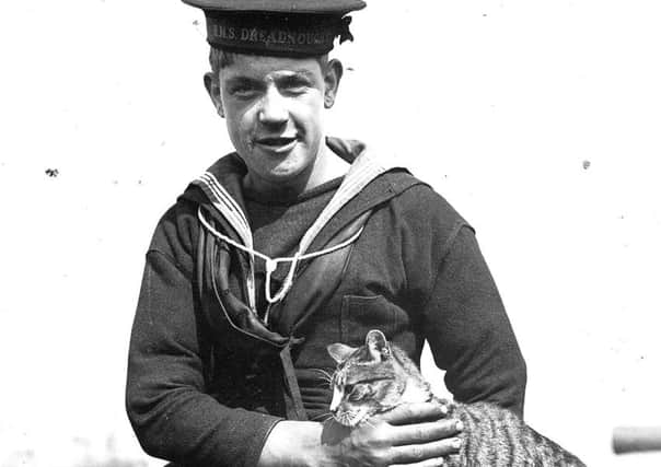 Scatters, the ships cat in battleship HMS Dreadnought