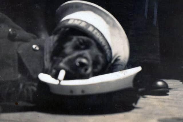 The ships dog in HMS Resolution at ease using a sailors cap as a pillow, a greatcoat as a blanket and a smoke to, allegedly, prevent sea sickness