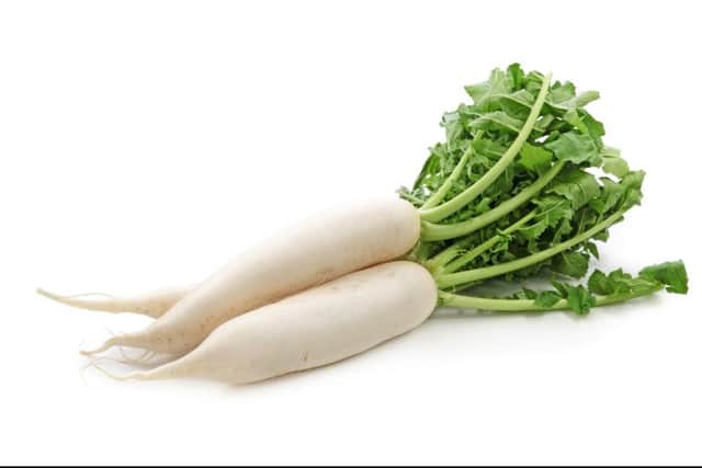 Daikon