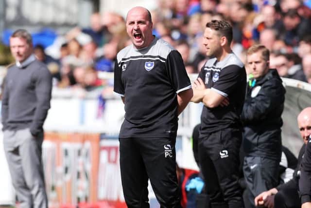 Pompey boss Paul Cook Picture: Joe Pepler