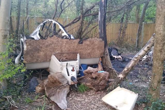 The illegal encampment in woods off Woodsedge, in Waterlooville