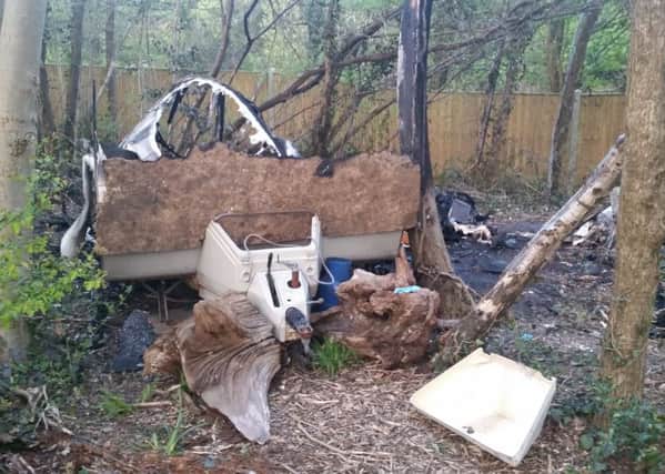 The illegal encampment in woods off Woodsedge, in Waterlooville