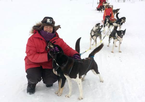 Stevie Webb, dog sledding in Norway