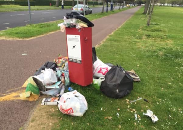 Litter piled up by bins on Southsea Common
Picture: Linda Symes