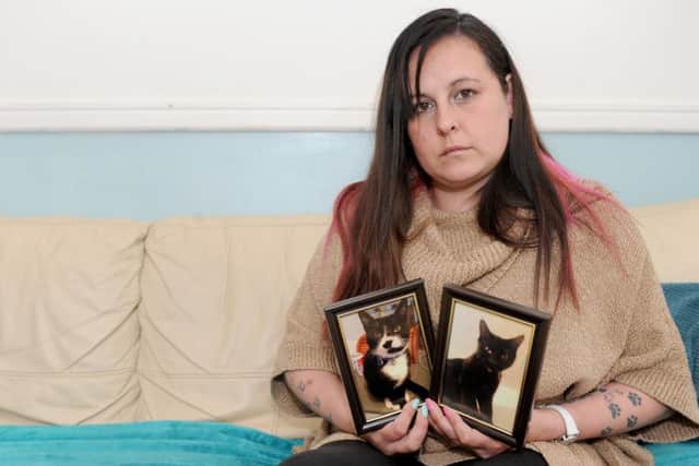 Sarah Bobbin with pictures of her cats Pierre, left, and WormsPicture: Sarah Standing (160721-8461)
