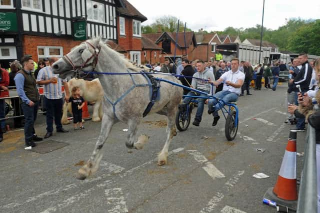Last year's Wickham Horse Fair