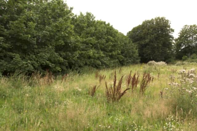Land where houses could be built in Purbrook Park