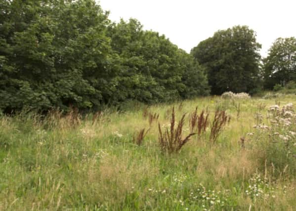 Land where houses could be built in Purbrook Park