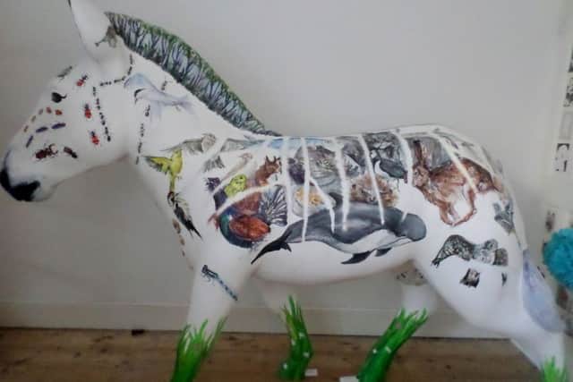 Claire Nicholls' zebra design