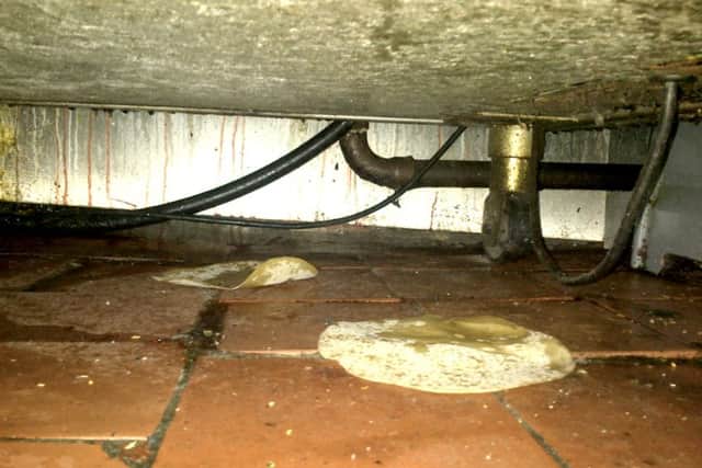 A filthy floor and food debris under a cooker.