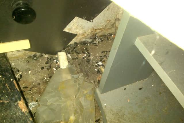 Rat droppings behind items in rear store room