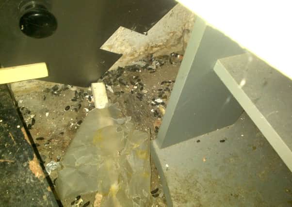 Rat droppings behind items in rear store room